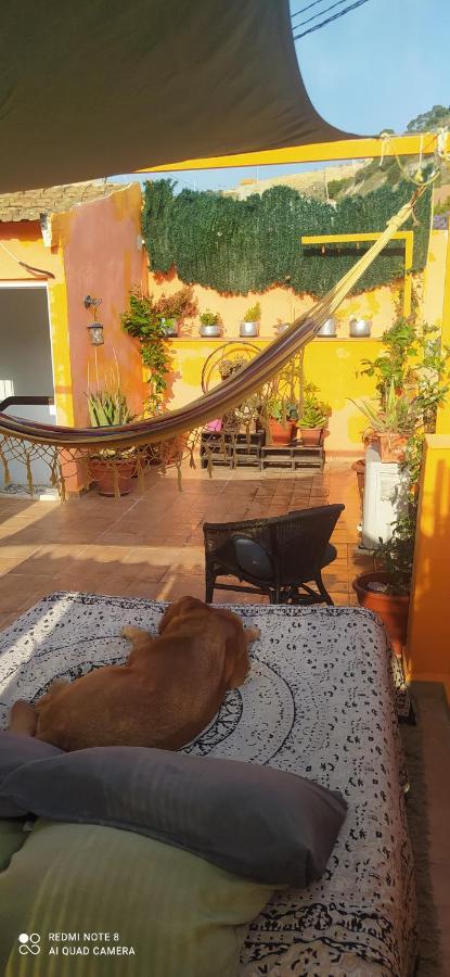 Appartamento La Casita De Celia Alicante Esterno foto